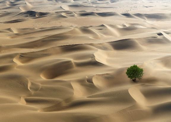 Sand